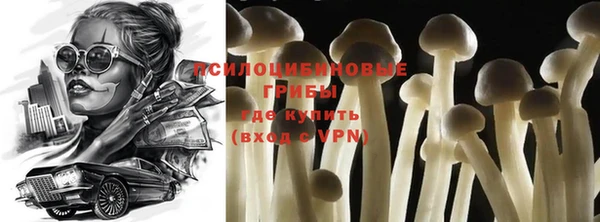 ПСИЛОЦИБИНОВЫЕ ГРИБЫ Абинск