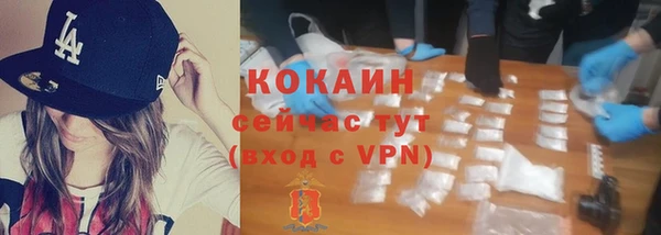 мет Протвино