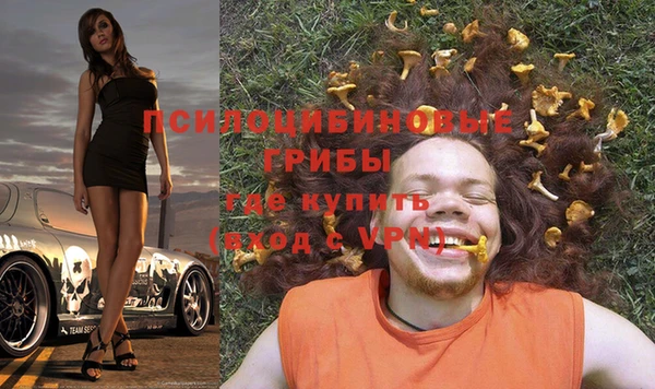 ПСИЛОЦИБИНОВЫЕ ГРИБЫ Абинск
