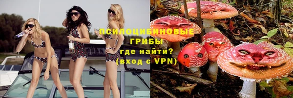 бошки Абаза