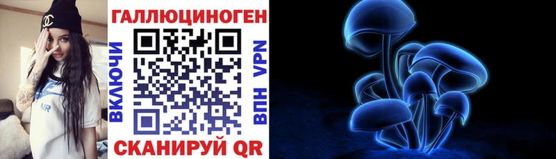 магазин  наркотиков  Дербент  Галлюциногенные грибы Psilocybine cubensis 
