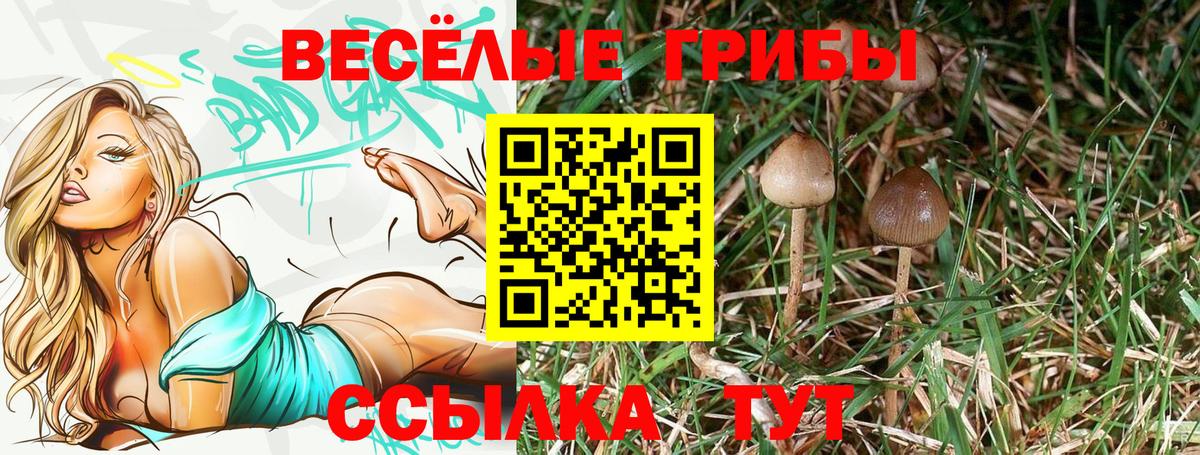 Дербент  Галлюциногенные грибы мухоморы  Псилоцибиновые грибы Psilocybine cubensis  Вход с VPN 