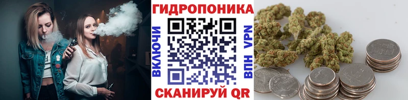 блэк спрут ссылки Дербент Конопля MAZAR